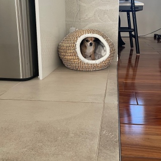 �U�����炢